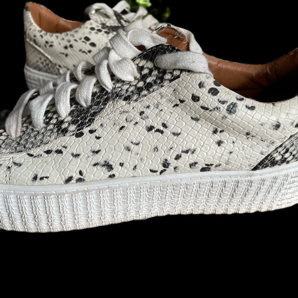 Steve Madden natural snake skin sneaker size 8 - Picture 2 of 7